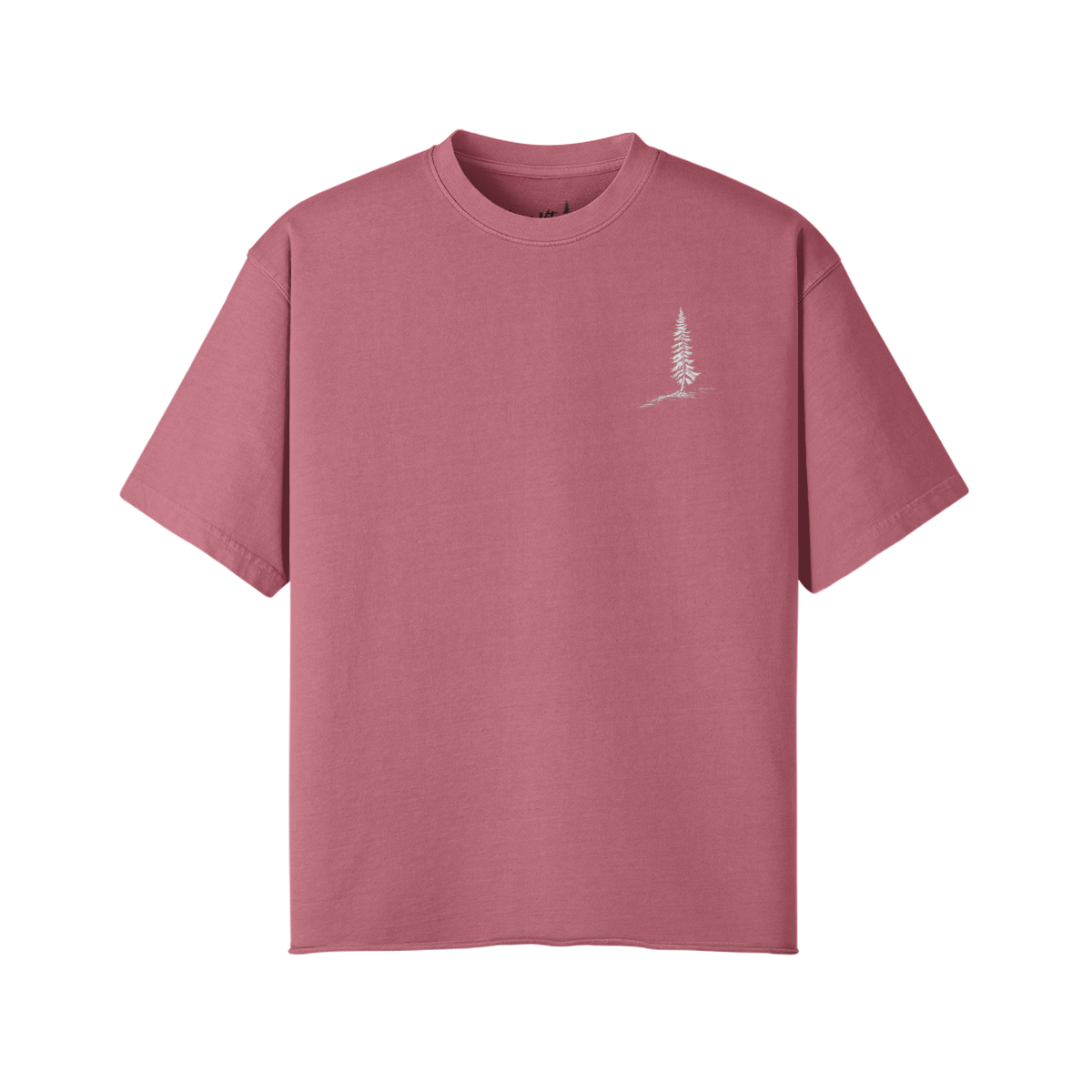 0-Y22-Front Side